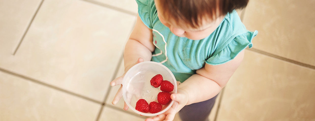 Freezing Baby Food